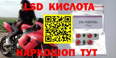 крисы Будённовск