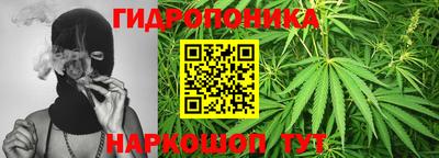 крисы Будённовск