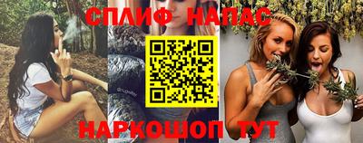 крисы Будённовск